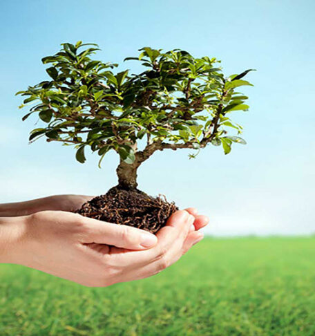 Essential Tips for Maintaining Your Electronic Devices