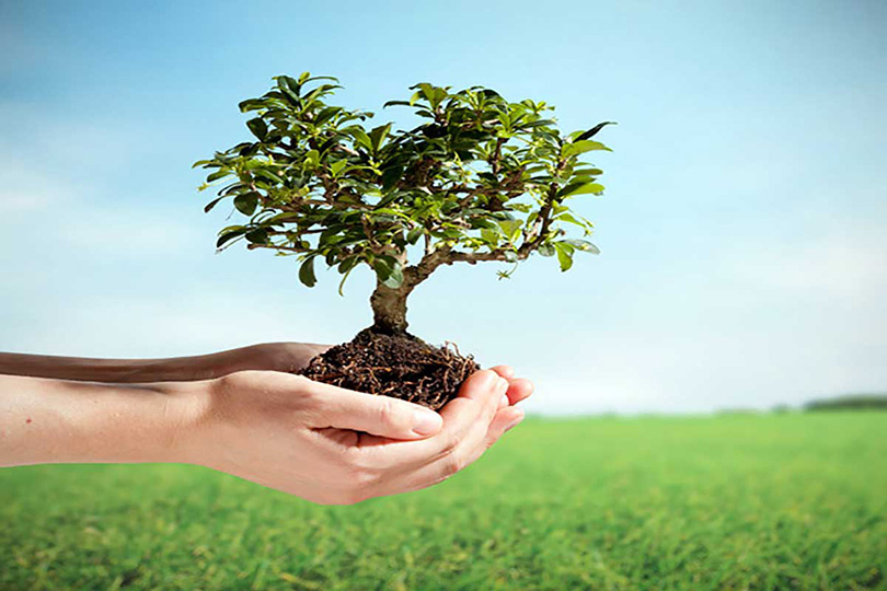 Essential Tips for Maintaining Your Electronic Devices